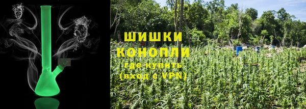 прущие грибы Абдулино