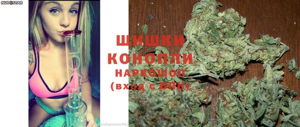 прущие грибы Абдулино