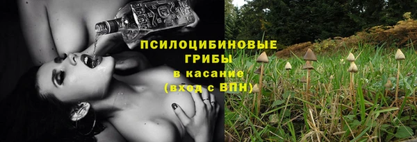 прущие грибы Абдулино