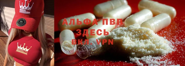 прущие грибы Абдулино