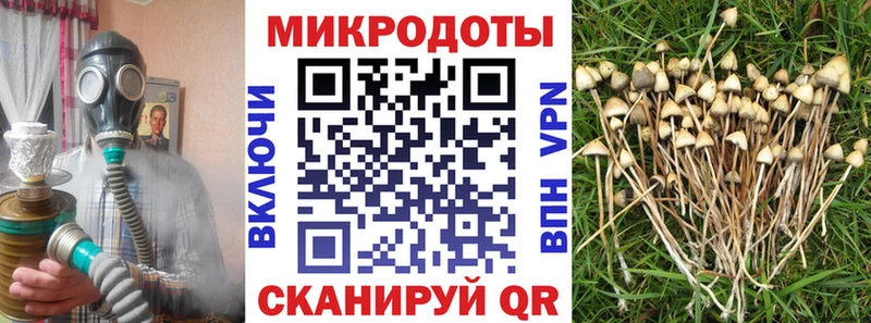 Галлюциногенные грибы Psilocybe Нариманов