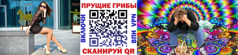 закладка  Нариманов  ОМГ ОМГ сайт  Галлюциногенные грибы MAGIC MUSHROOMS 